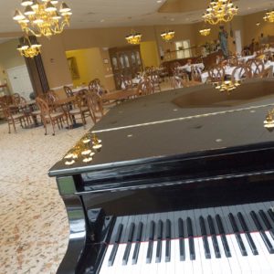 Fern Terra Dining and Piano